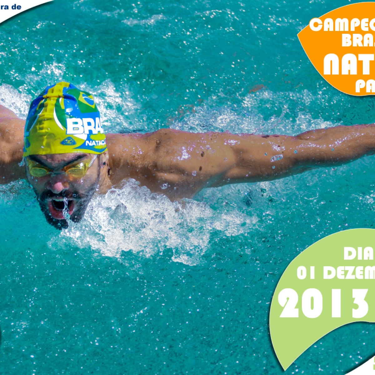 CampBrasileiroNatacao2013 - FBDS